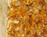 Peppermint Sandalwood Hand and Body Soap