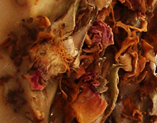 Ylang Ylang Lavender Hand and Body Soap